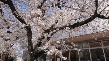 タイヤ交換っていつすればよいの！？